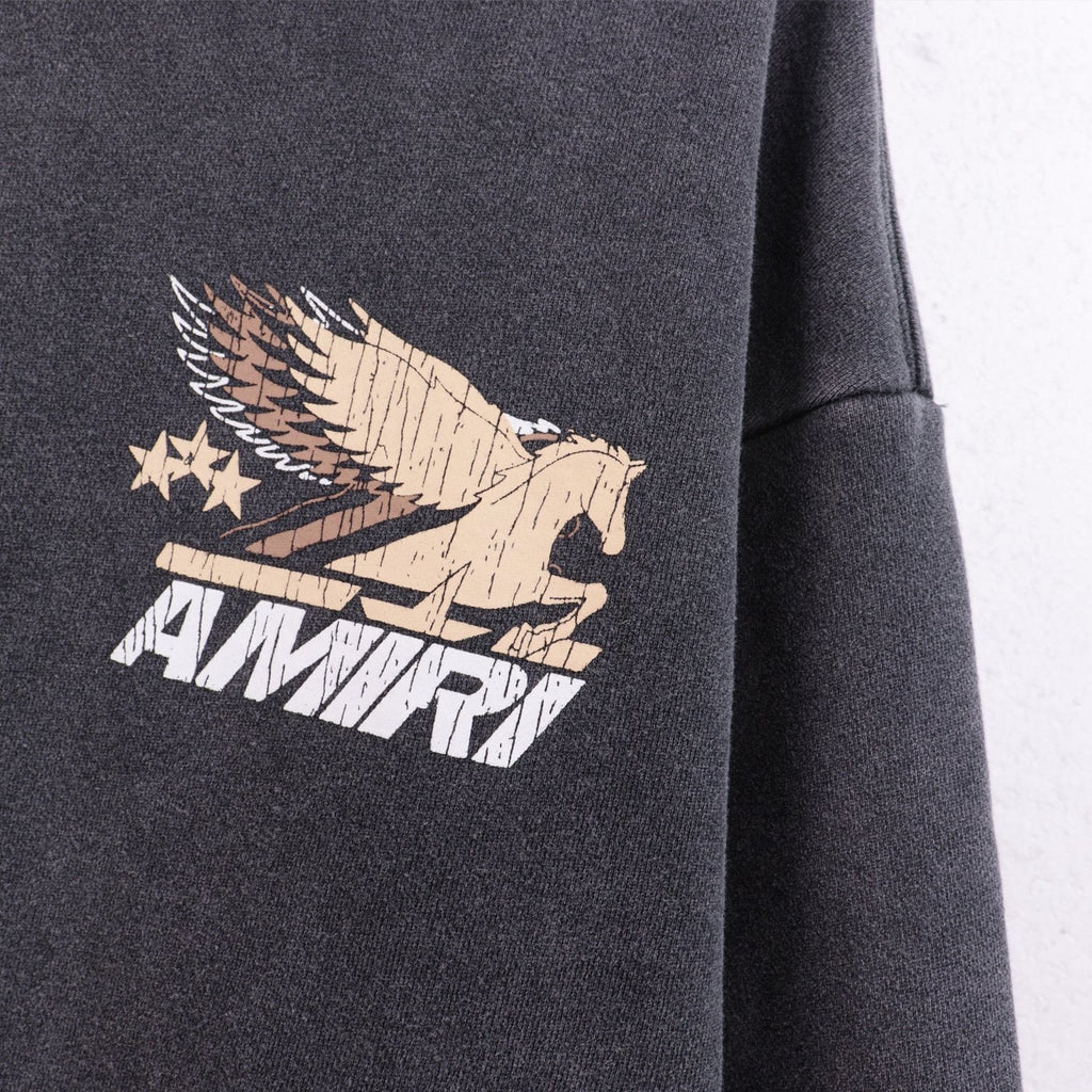 AMIRI Pegasus Graphic Hoodie — detail
